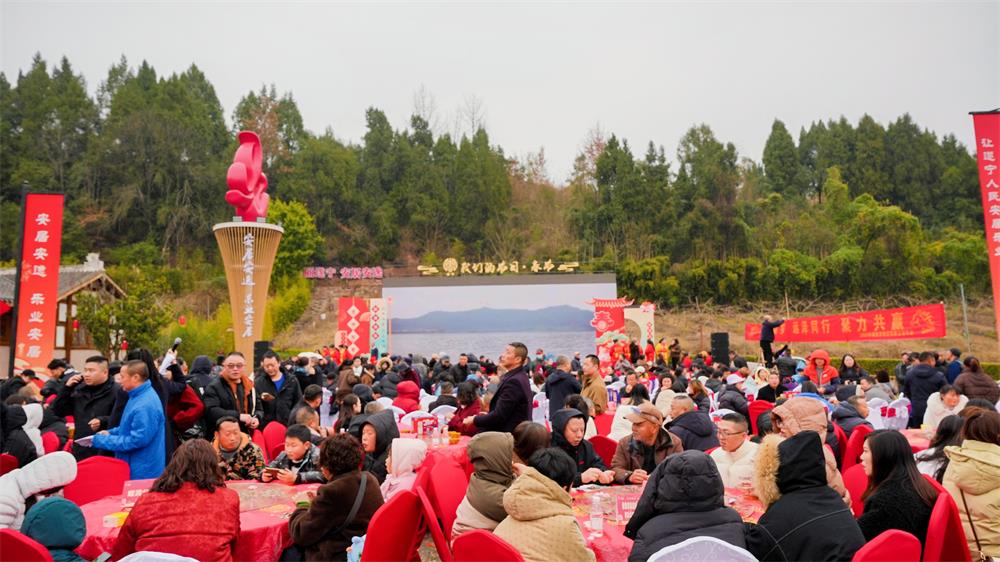 安居海龙凯歌迎盛会 遂宁2026年“三下乡”送福到乡村