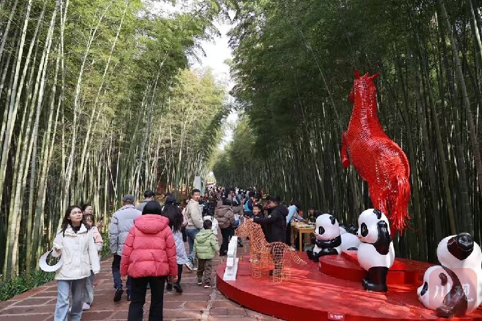 停车场都满了！宜宾长宁蜀南竹海迎来新春旅游热