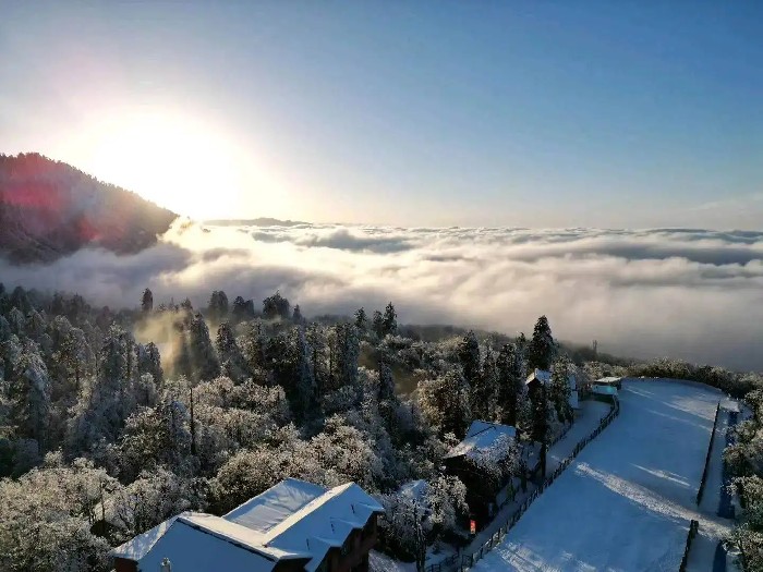 春节景区大爆满！ 自贡灯会、乐山、峨眉山门票预订量狂飙成“顶流”