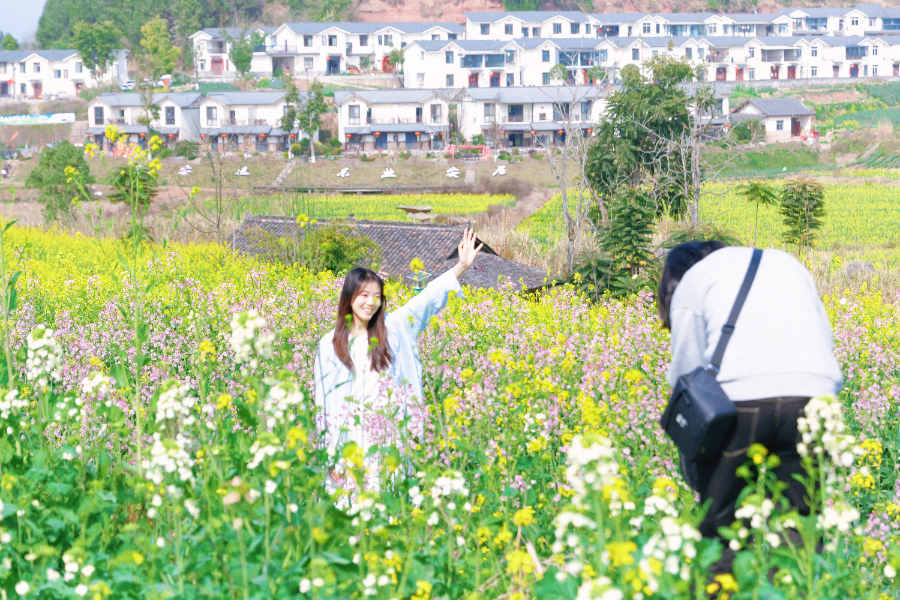 花开安居，春赴佳期｜这份赏花指南请收好！