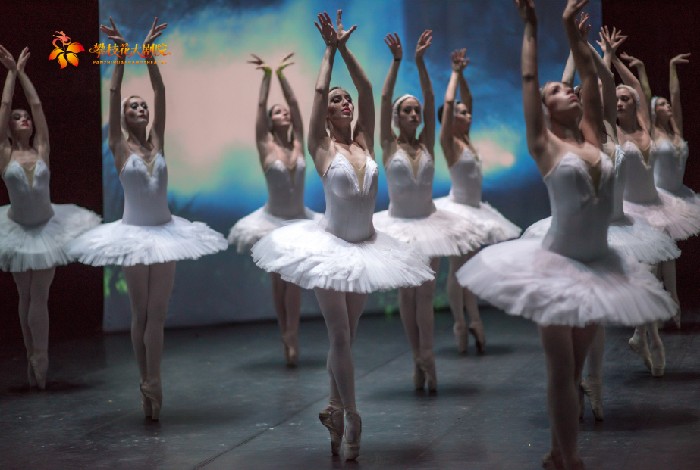 从“钢铁之城”到“艺术花城”： 攀枝花大剧院新春系列演出收官，三