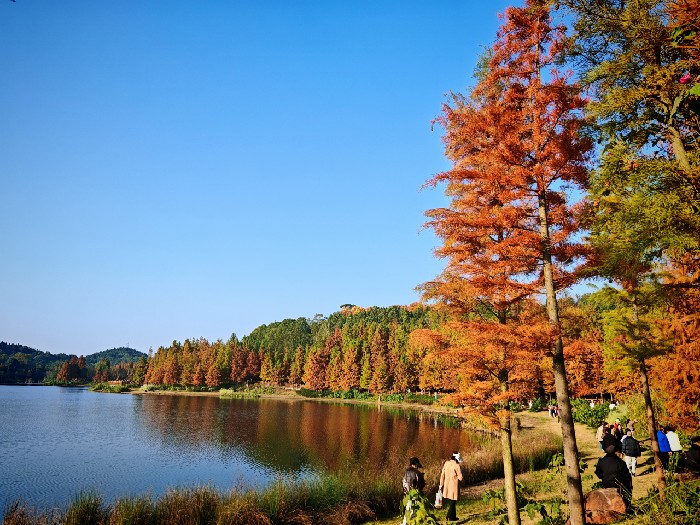 德阳发布“公园建设导则” 推动全域公园从“有”向“优”升级