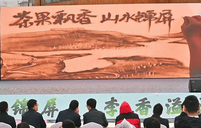 金沙江畔春意浓！四川宜宾锦屏十万亩李花山间盛开