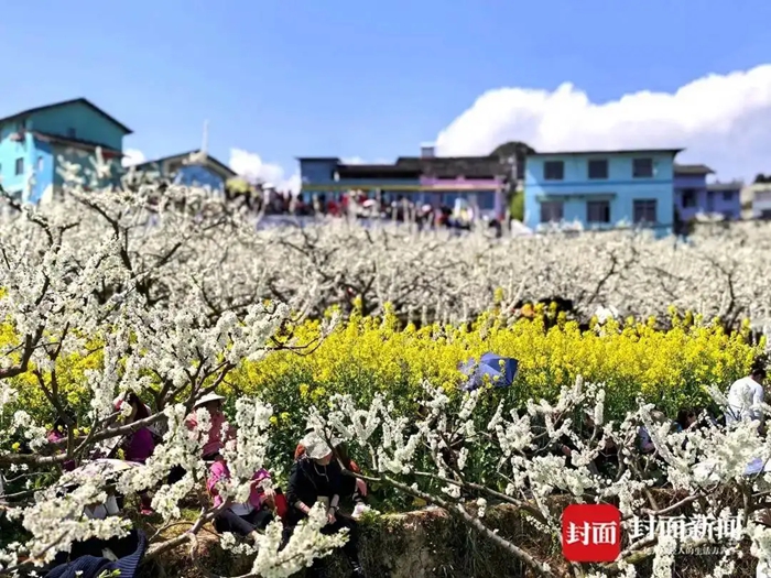 潮涌达州 2026通川花海音乐会奏响农文旅融合新篇