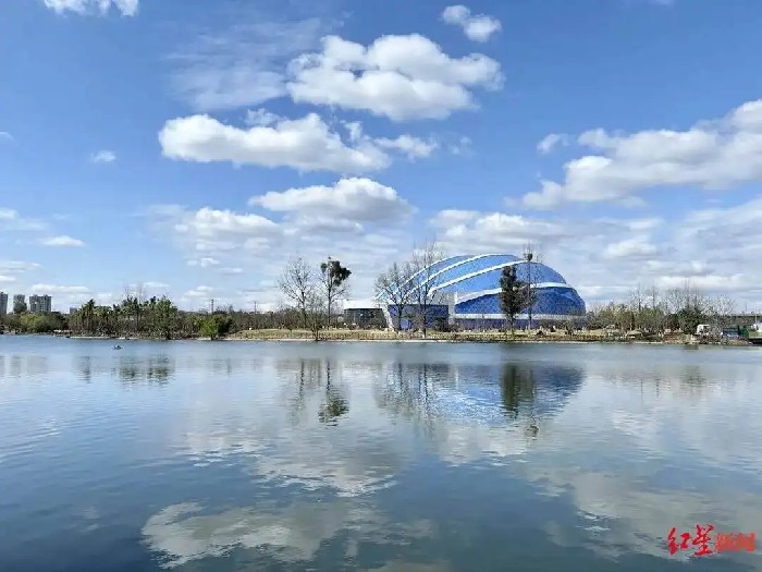 蓝色“凤尾螺”亮相！成都熊猫海洋公园试营业首日人气爆棚