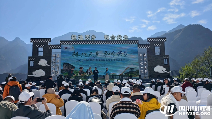 两项世界纪录诞生！来甘孜九龙解锁高原茶旅新体验