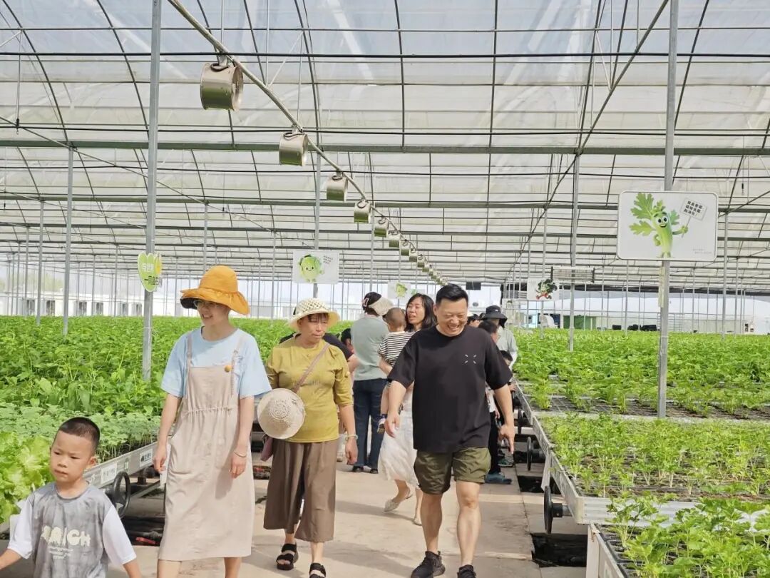 拎起小篮子，去大棚里过个“甜”节
