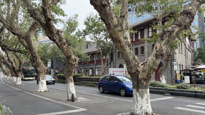 成渝两条百年老街同台展示更新实践 携手推介两地文旅亮点