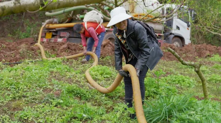 养猪不愁污，种果不愁肥！海龙村打造低碳循环农业样本