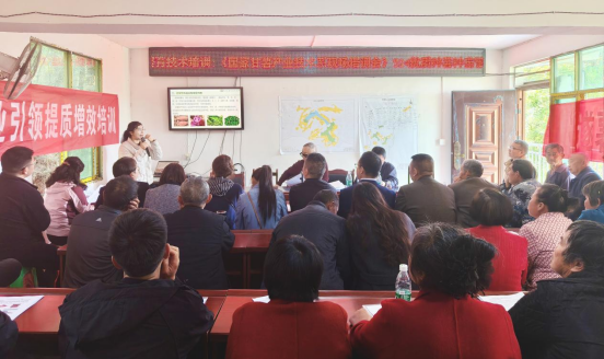 专家下乡 技术入户 安居区“524”红苕种苗培训助农增收有“薯”光